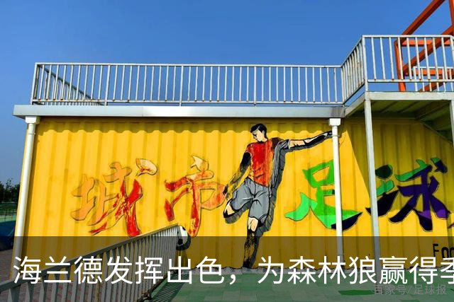 海兰德发挥出色，为森林狼赢得季前赛