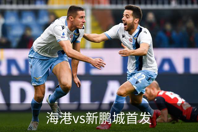 海港vs新鹏城首发