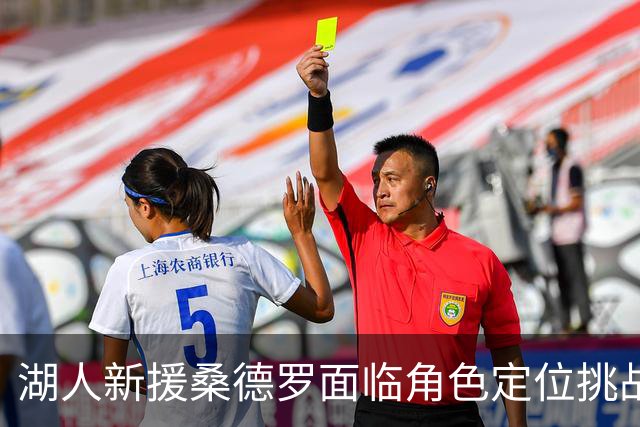 湖人新援桑德罗面临角色定位挑战，雷迪克需警惕使用策略