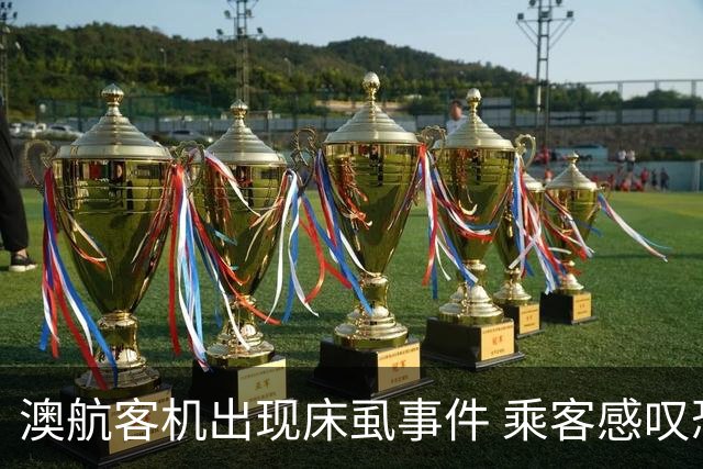 澳航客机出现床虱事件 乘客感叹恐怖经历