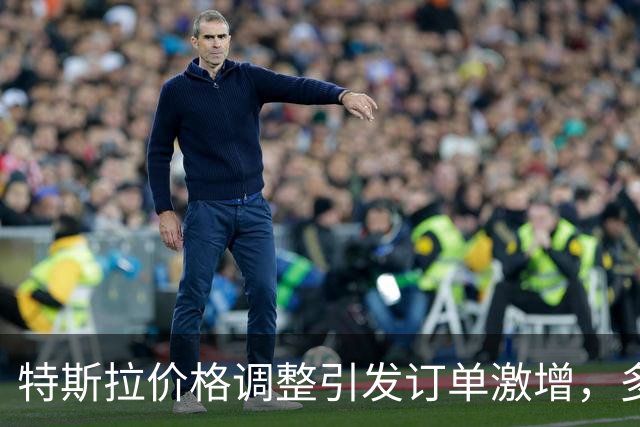 特斯拉价格调整引发订单激增，多品牌纷纷促销再掀价格战