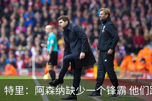 特里：阿森纳缺少一个锋霸 他们距离统治英超只差1、2笔签约