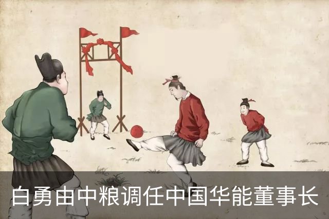 白勇由中粮调任中国华能董事长