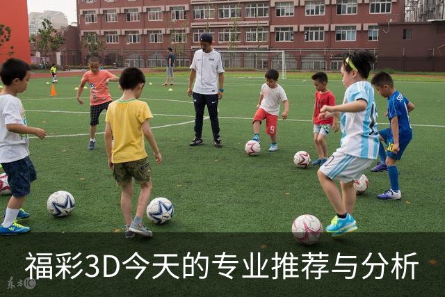福彩3D今天的专业推荐与分析