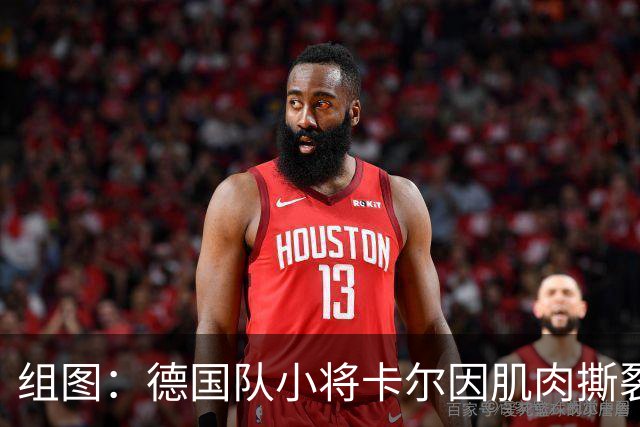 组图：德国队小将卡尔因肌肉撕裂无缘世界杯