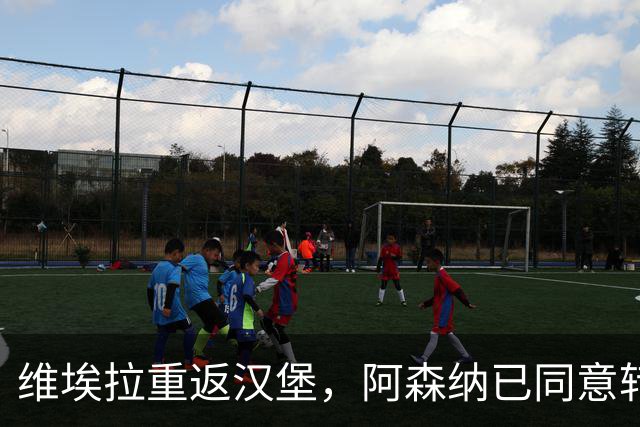 维埃拉重返汉堡，阿森纳已同意转会