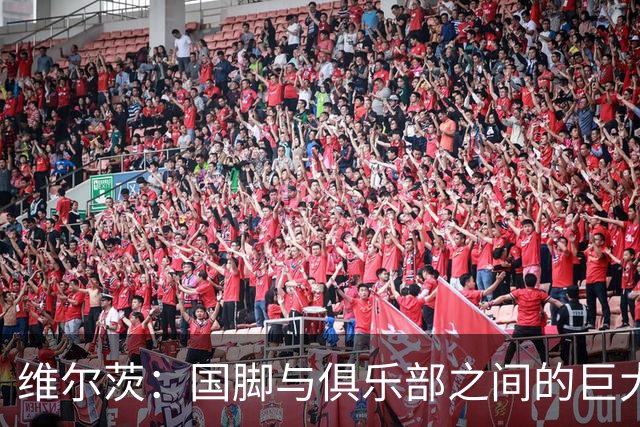 维尔茨：国脚与俱乐部之间的巨大反差与期待
