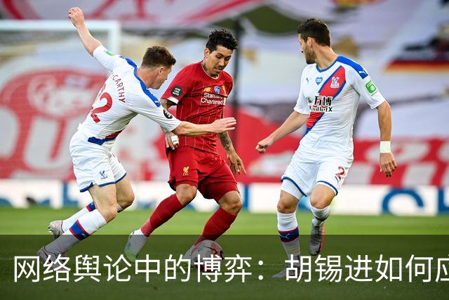 网络舆论中的博弈：胡锡进如何应对孙宇晨的挑战？