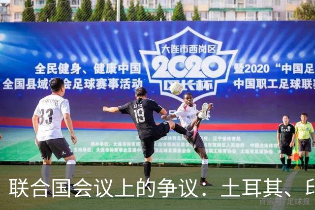 联合国会议上的争议：土耳其、印度与日本联手，中国立场坚定