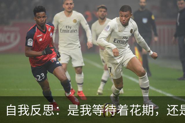自我反思：是我等待着花期，还是在拖延自己？