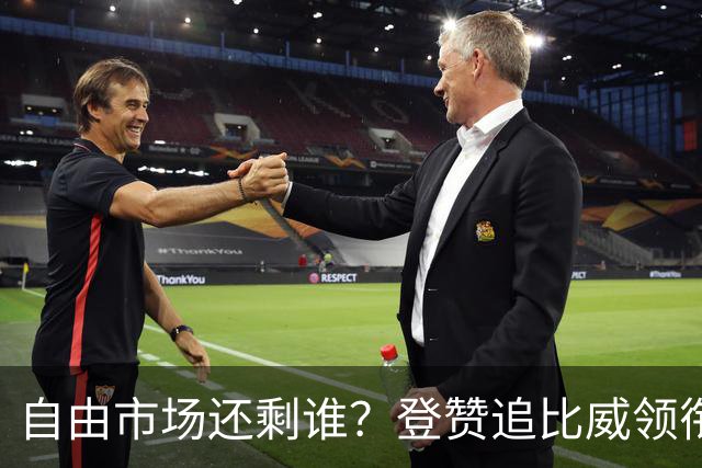 自由市场还剩谁？登赞追比威领衔不死老兵 杜伦&库明加战力凶悍