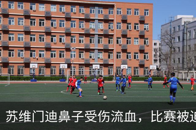 苏维门迪鼻子受伤流血，比赛被迫中断处理