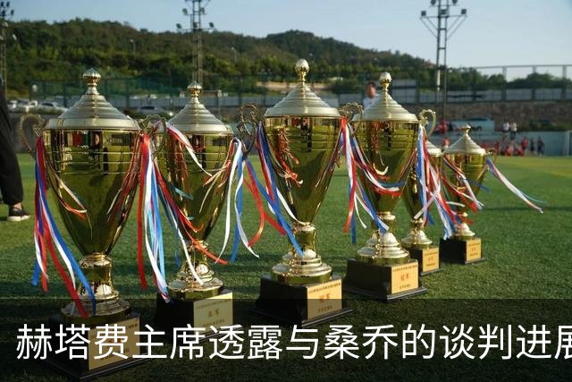 赫塔费主席透露与桑乔的谈判进展