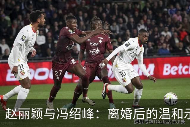 赵丽颖与冯绍峰：离婚后的温和示范