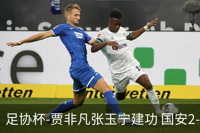 足协杯-贾非凡张玉宁建功 国安2-1大连可为晋级8强