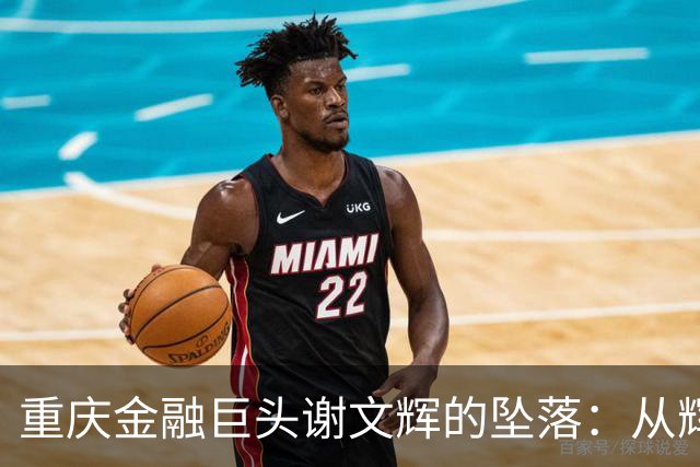 重庆金融巨头谢文辉的坠落：从辉煌到调查