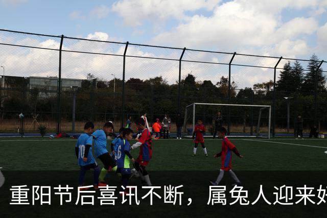 重阳节后喜讯不断，属兔人迎来好运和机遇