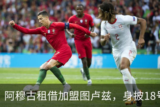 阿穆古租借加盟图卢兹，身披18号球衣