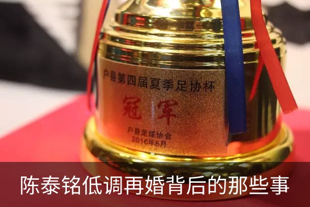 陈泰铭低调再婚背后的那些事