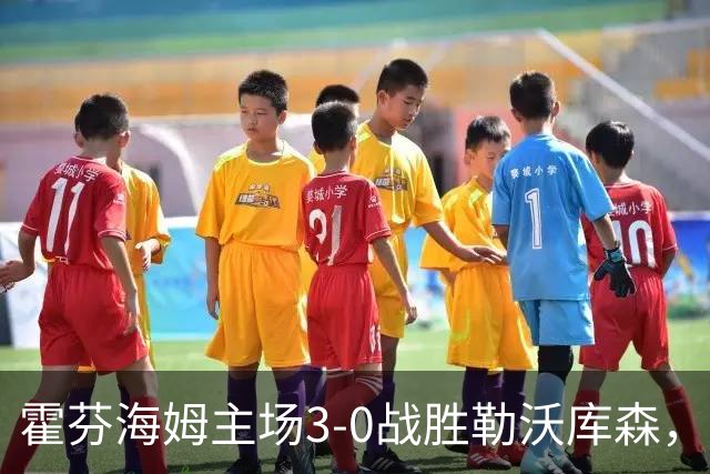 霍芬海姆主场3-0战胜勒沃库森，普拉斯红牌离场