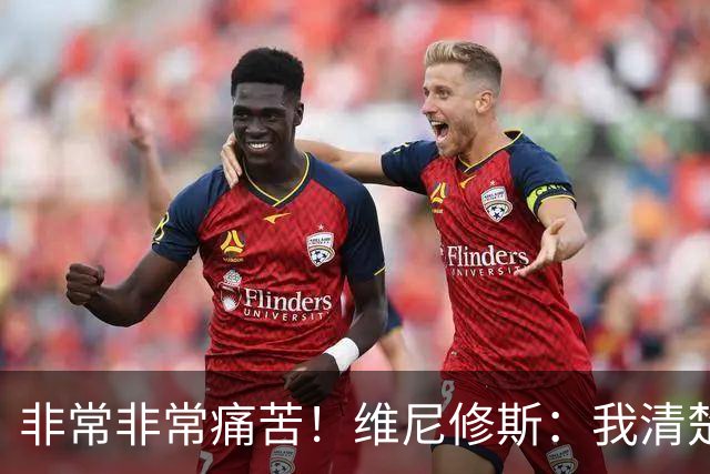 非常非常痛苦！维尼修斯：我清楚巴西很多没夺冠了，向球迷们致歉