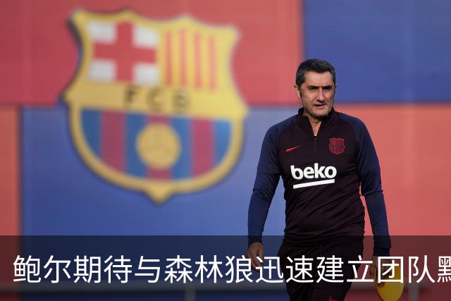 鲍尔期待与森林狼迅速建立团队默契