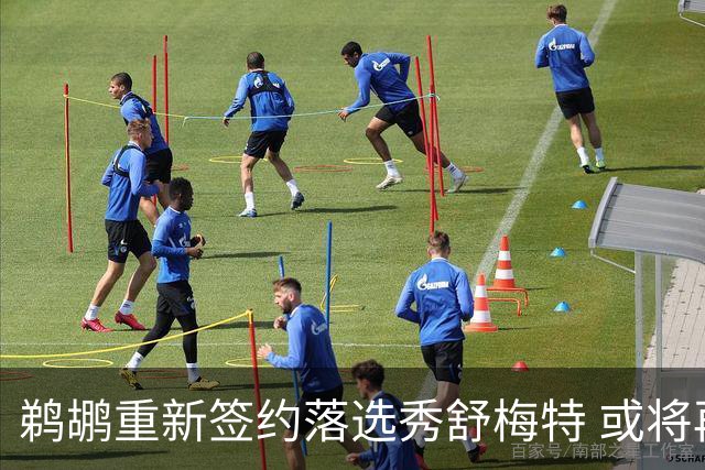 鹈鹕重新签约落选秀舒梅特 或将再次被裁