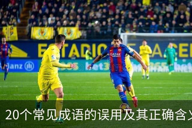 20个常见成语的误用及其正确含义