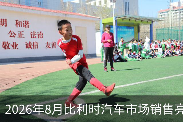 2026年8月比利时汽车市场销售亮点