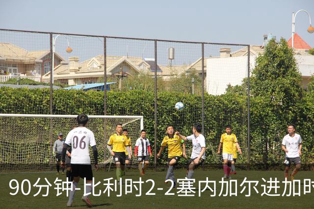 90分钟-比利时2-2塞内加尔进加时 卢卡库替补建功蒂莱曼斯绝平