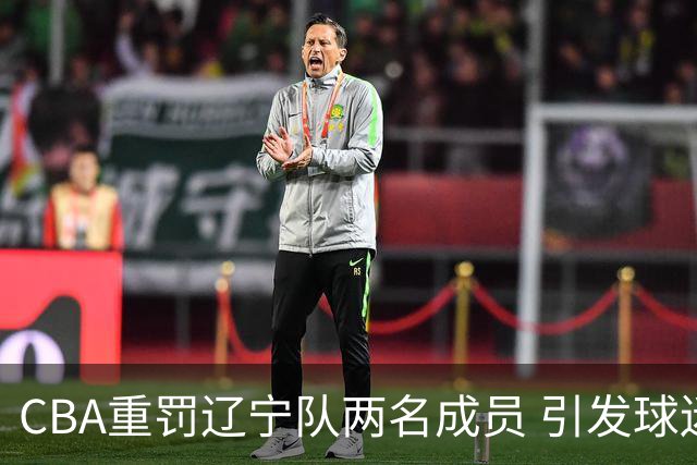CBA重罚辽宁队两名成员 引发球迷不满