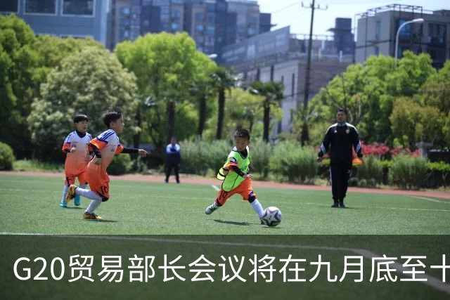 G20贸易部长会议将在九月底至十月初召开