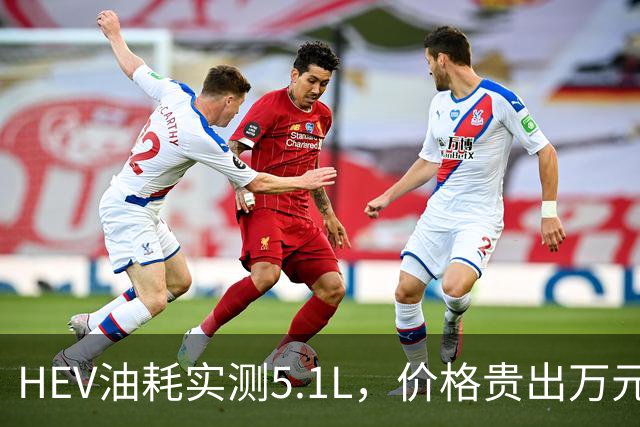 HEV油耗实测5.1L，价格贵出万元回本周期如何？