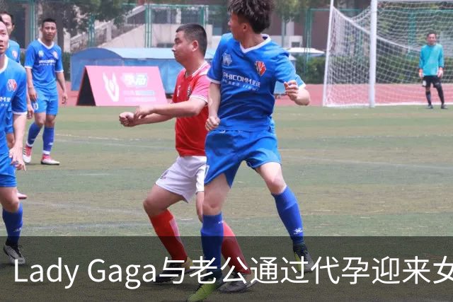 Lady Gaga与老公通过代孕迎来女儿Rose Bean